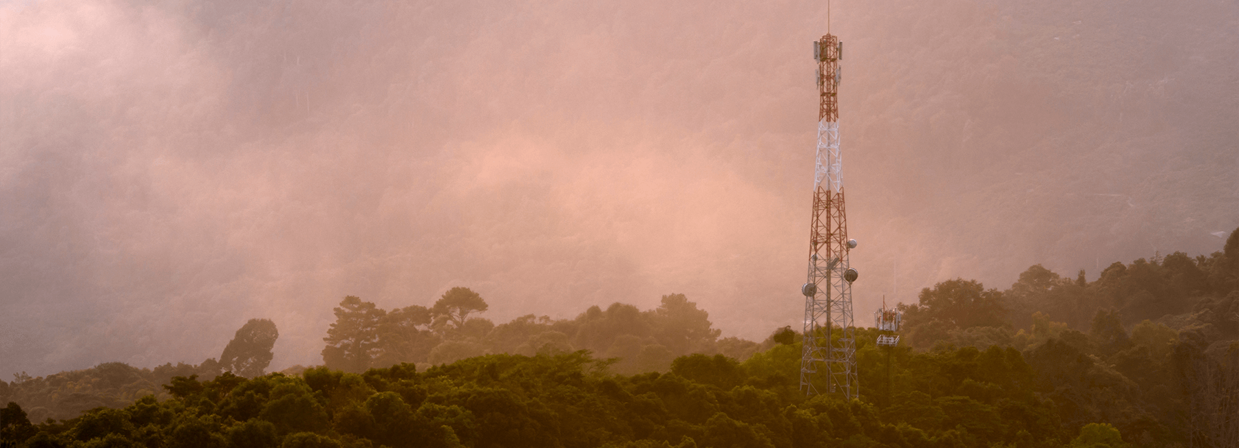 HEALTH-SAFETY-&-ENVIRONMENT-TOWER-IN-TREES-reduced